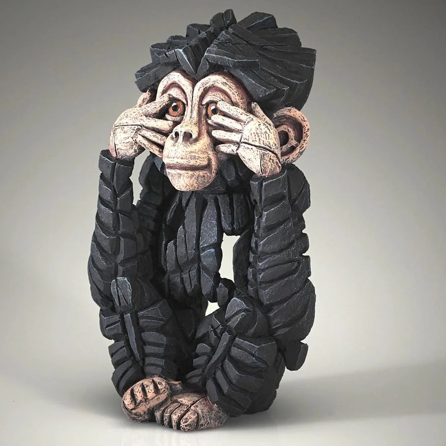 Baby chimp - See no evil