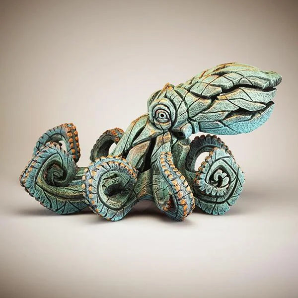 Octopus verdi - Gris